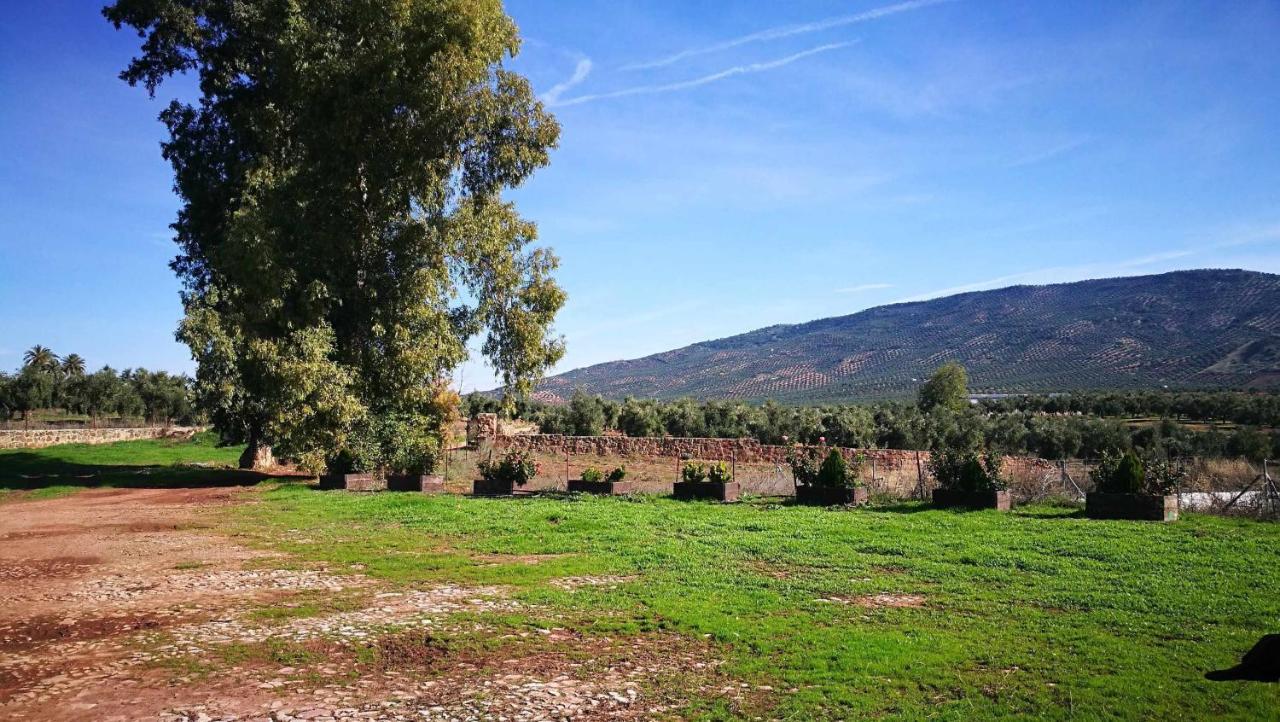 Finca El Vizconde Naturaleza Con Tus Hijos Arquillos Exteriör bild