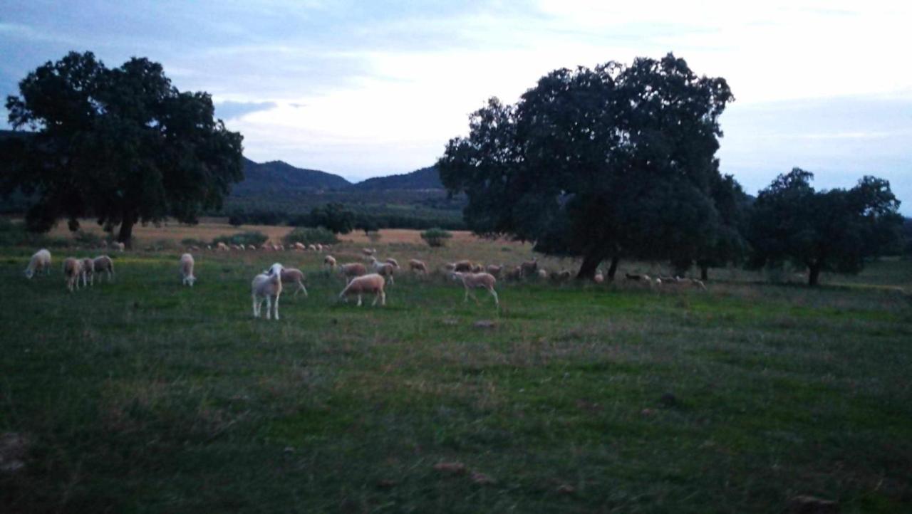 Finca El Vizconde Naturaleza Con Tus Hijos Arquillos Exteriör bild
